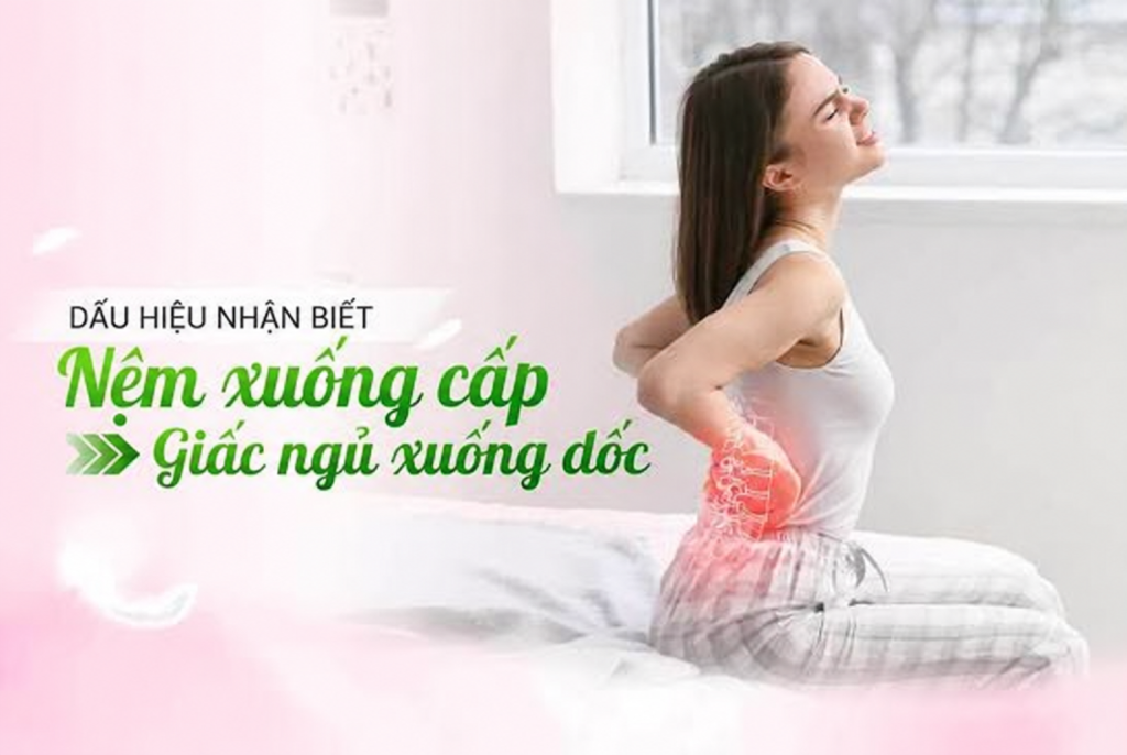 Review nệm American từ dân văn phòng đau mỏi cổ