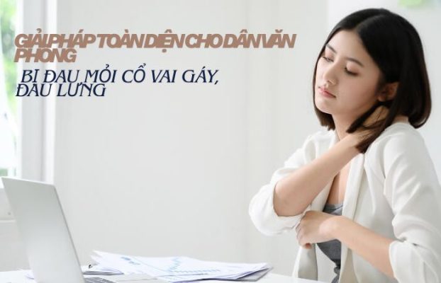 Review nệm American từ dân văn phòng đau mỏi cổ